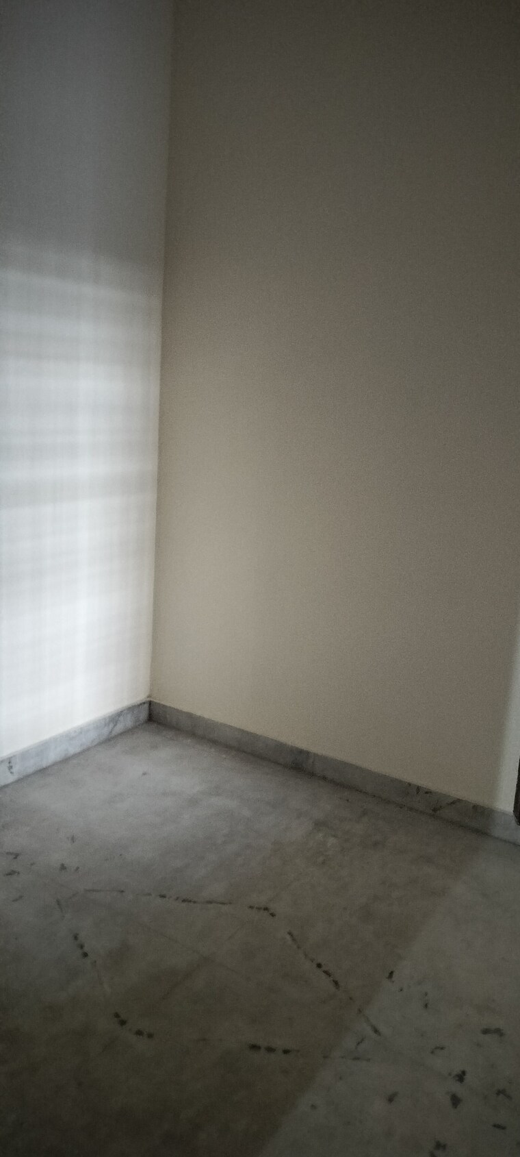 Room, rwa-apartments-sector-50 3 Bedroom 162 Sq.Mt. Independent House In Sector 50 Noida 9244691