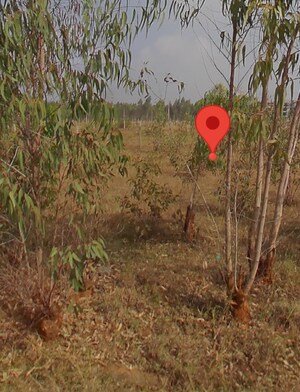 Plot Area in  Plot at Sarjapur Attibele Road – for Sale