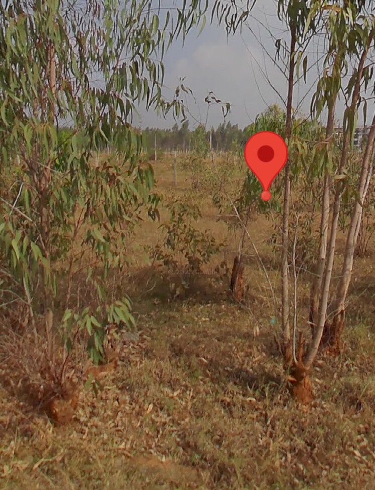 undefined, sarjapur attibele road  1200 Sq.Ft. Plot In Sarjapur Attibele Road Bangalore 9244725