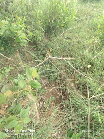 Plot Area in  Plot at Dombarahalli – for Sale