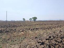 Plot For Sale in Investment Plot 