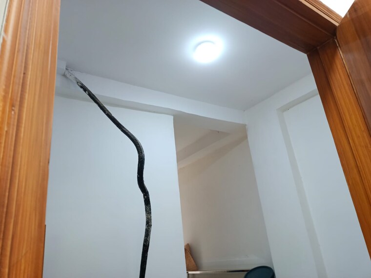 undefined, burari 2 Bedroom 720 Sq.Ft. Builder Floor In Burari Delhi 9245001