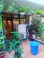 3 BHK + Pooja Room 1731 Sq.Ft. Apartment in Eldeco Mystic Greens