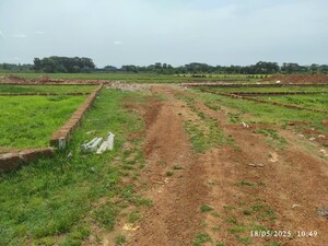 Plot Area in  Plot at Aiginia – for Sale