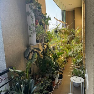 Balcony in 3 BHK Apartment at Vipul World Floors, Sector 48 – for Rent