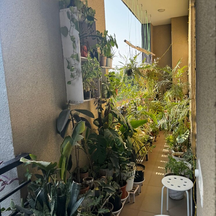 Balcony, vipul-world-floors 3 Bedroom 2100 Sq.Ft. Apartment In Sector 48 Gurgaon 9245420