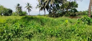 Plot Area in  Land at Kunnamkulam – for Sale