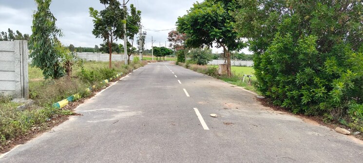 undefined, doddaballapura  1200 Sq.Ft. Plot In Doddaballapura Bangalore 9245479