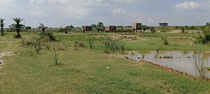 Plot Area in  Plot at Pindra – for Sale