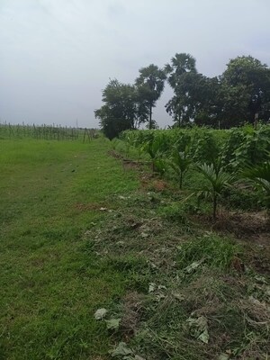 Plot Area in  Plot at Sonarpur – for Sale