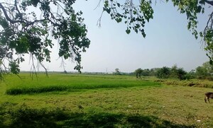 Plot Area in  Plot at Kalikapur Rajpur Sonarpur – for Sale