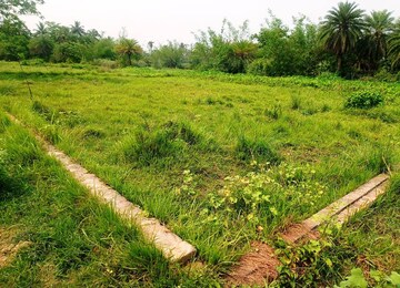 Plot Area in  Plot at Joka – for Sale