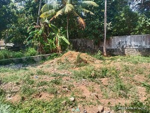  Plot For Sale in Kuravankonam