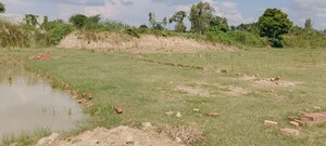 Plot Area in  Plot at Pindra – for Sale