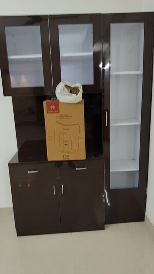 3.5 BHK Apartment For Rent in Amrapali Crystal Homes, Sector 76