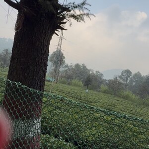  Plot – Garden View at Mukteshwar - for Sale