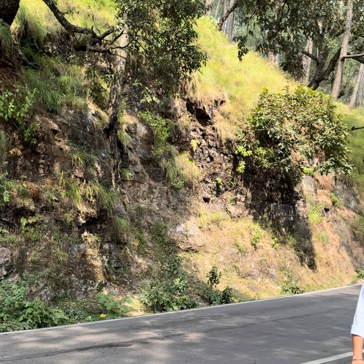 Exterior View, mukteshwar  100 Sq.Yd. Plot In Mukteshwar Nainital 9246591