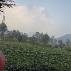 Plot For Sale in Mukteshwar