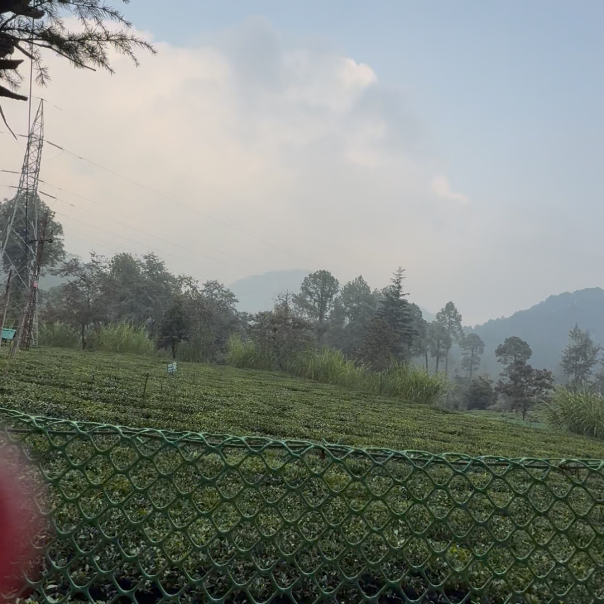 Plot For Sale in Mukteshwar