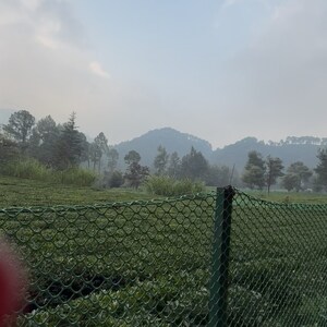  Plot – Exterior View View at Mukteshwar - for Sale