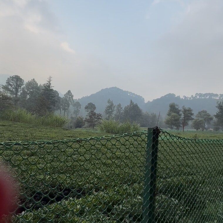 Exterior View, mukteshwar  100 Sq.Yd. Plot In Mukteshwar Nainital 9246591