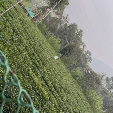  Plot – Exterior View View at Mukteshwar - for Sale