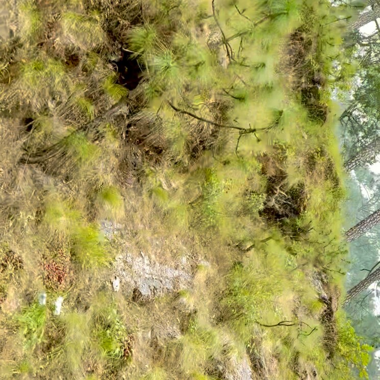 Exterior View, mukteshwar  100 Sq.Yd. Plot In Mukteshwar Nainital 9246591