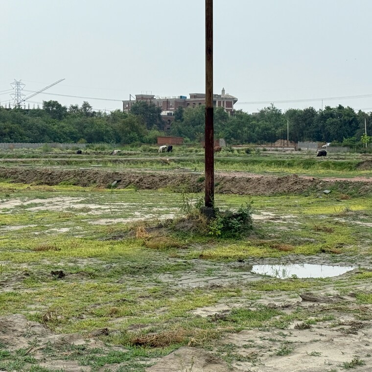 undefined, india-expo-mart  200 Sq.Yd. Plot In Knowledge Park Ii Greater Noida Greater Noida 9246887