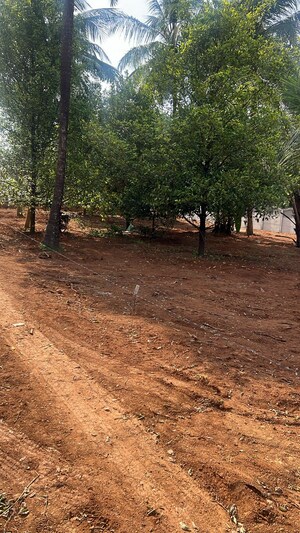 Plot Area in  Plot at Kolazhy – for Sale