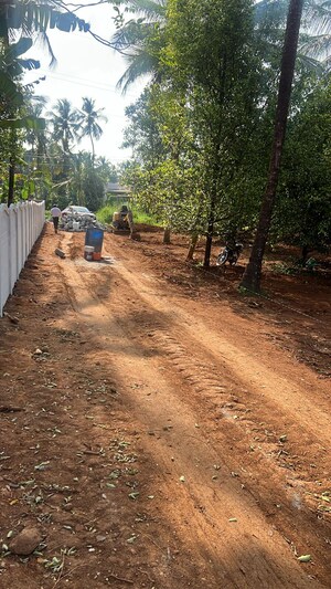 Plot Area in  Plot at Kolazhy – for Sale