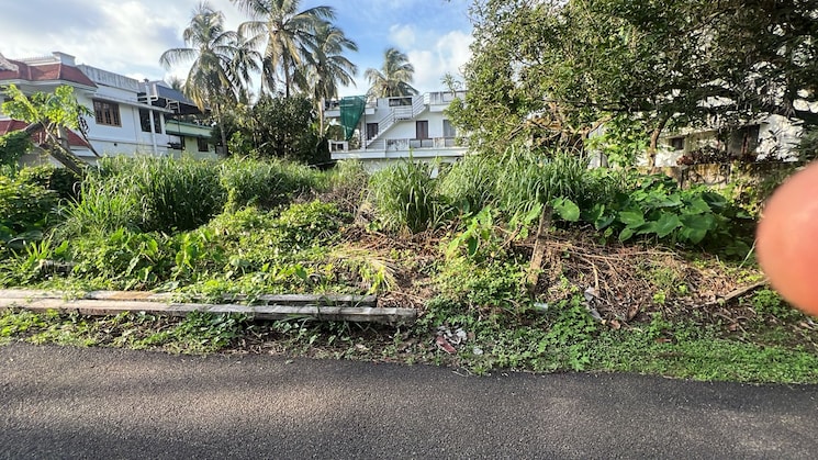Garden, kuttanellur  4574 Sq.Ft. Plot In Kuttanellur Thrissur 9247100