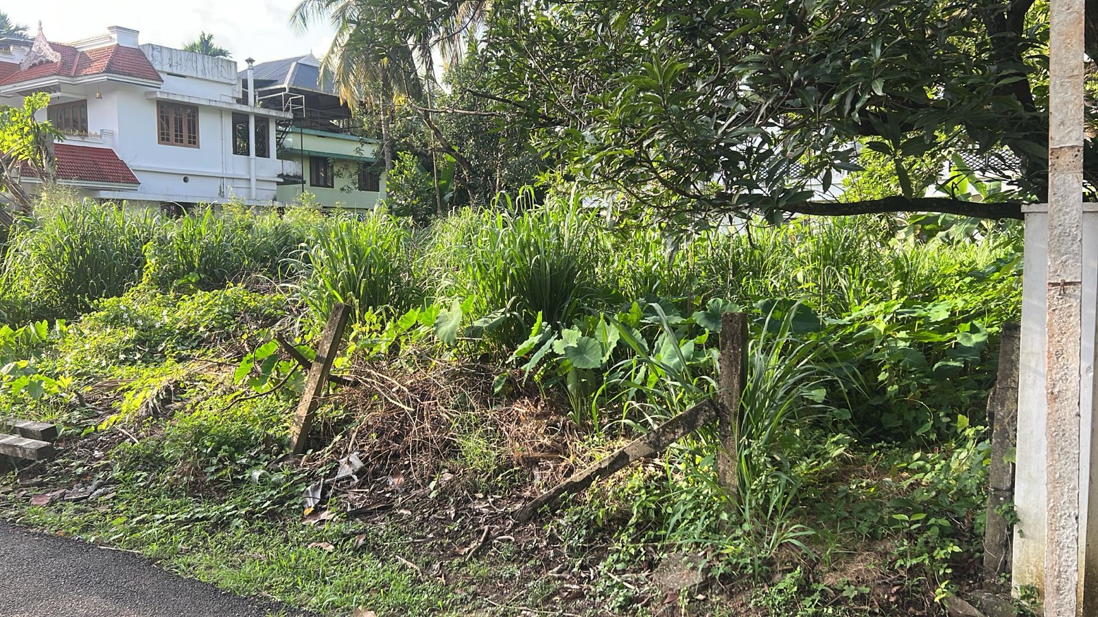 Plot For Sale in Kuttanellur