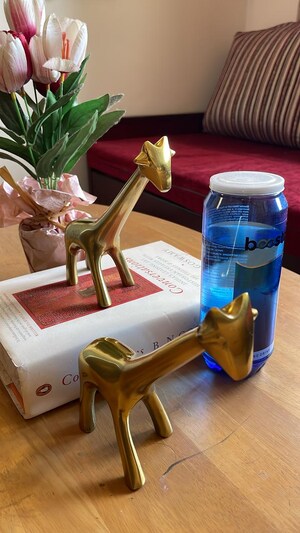 Gym in 1 BHK Apartment at Bandra West – for Rent