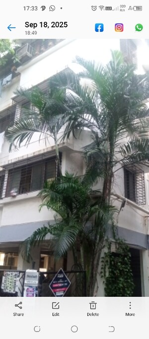 1 BHK Apartment For Rent in Dadar West