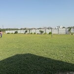 300 Sq.Yd. Plot in India Expo Mart