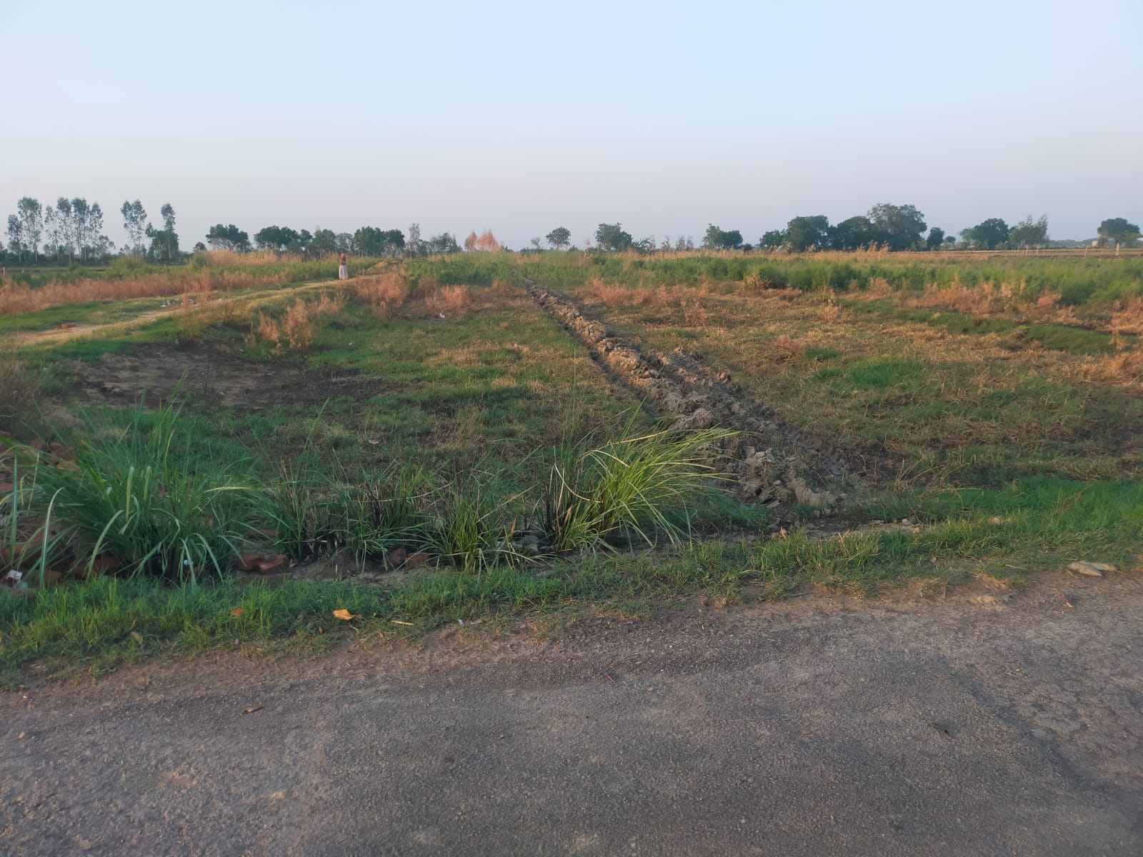 Plot For Sale in Ajmer Road