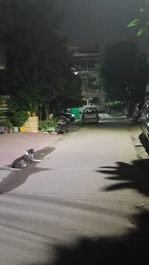  Plot For Sale in Vaishali Sector 5