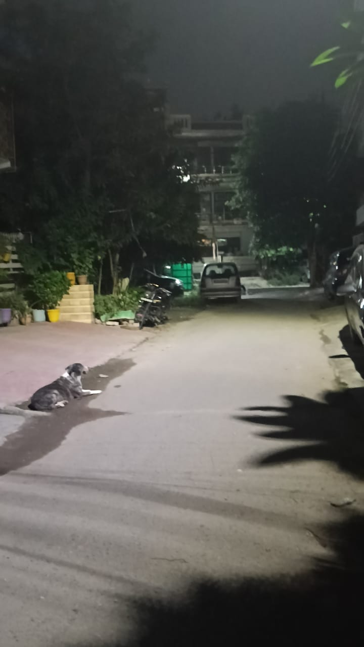 Plot For Sale in Vashisht Property 