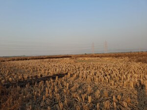 Plot Area in  Plot at Divya Residency Navi Mumbai, Ranjanpada – for Sale