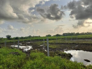 Plot Area in  Plot at Navin Sheva – for Sale