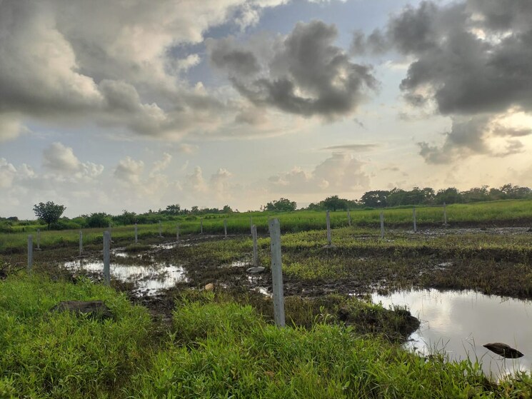 undefined, navin sheva  1089 Sq.Ft. Plot In Navin Sheva Navi Mumbai 9247995