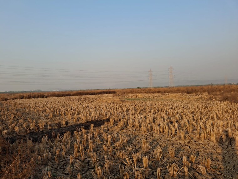 undefined, navin sheva  1089 Sq.Ft. Plot In Navin Sheva Navi Mumbai 9247995