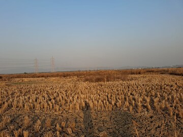 Plot Area in  Plot at Navin Sheva – for Sale
