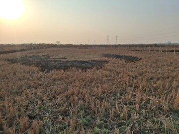 Plot Area in  Plot at Navin Sheva – for Sale