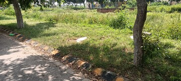  Plot For Sale in TDI City Kundli, Kundli