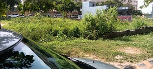  Plot – Exterior View View at TDI City Kundli, Kundli - for Sale