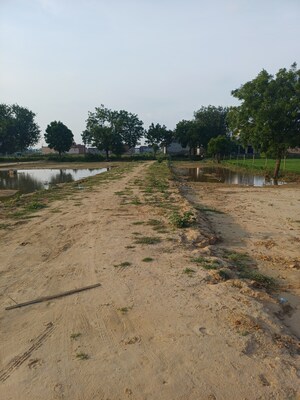 Plot Area in  Plot at Bhopani – for Sale