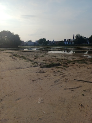  Plot For Sale in Bhopani