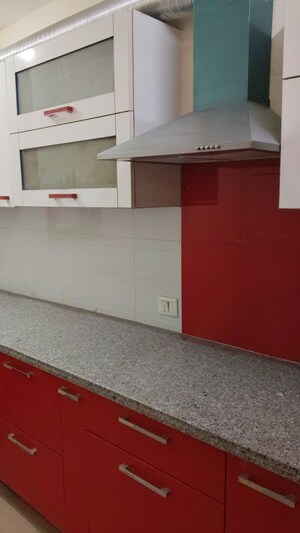 Kitchen in 2 BHK Builder Floor at Unitech South City II, Sector 50 – for Rent