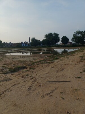 Plot Area in  Plot at Bhopani – for Sale